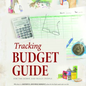 Tracking Budget Guide cover